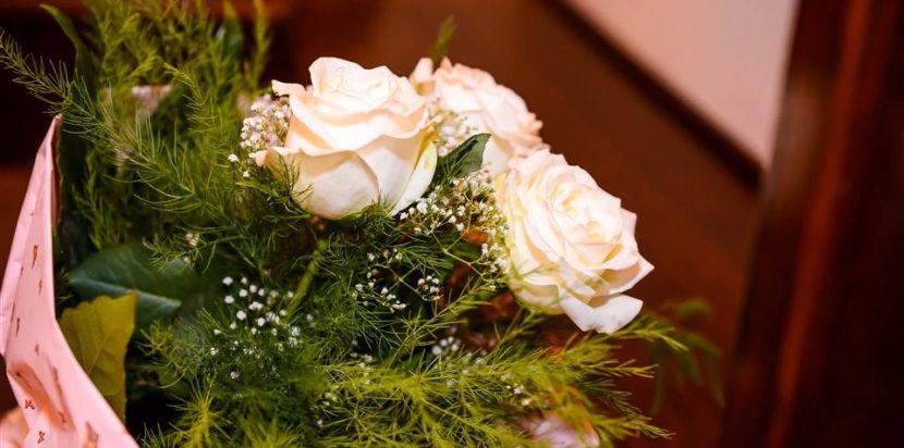 11540821_10152940317050843_8550555822655994536_n