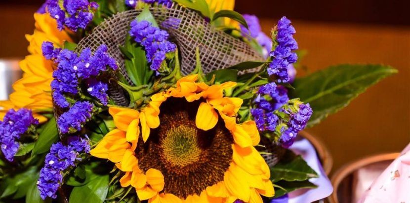 11737818_10152940316380843_6562853480521672555_n